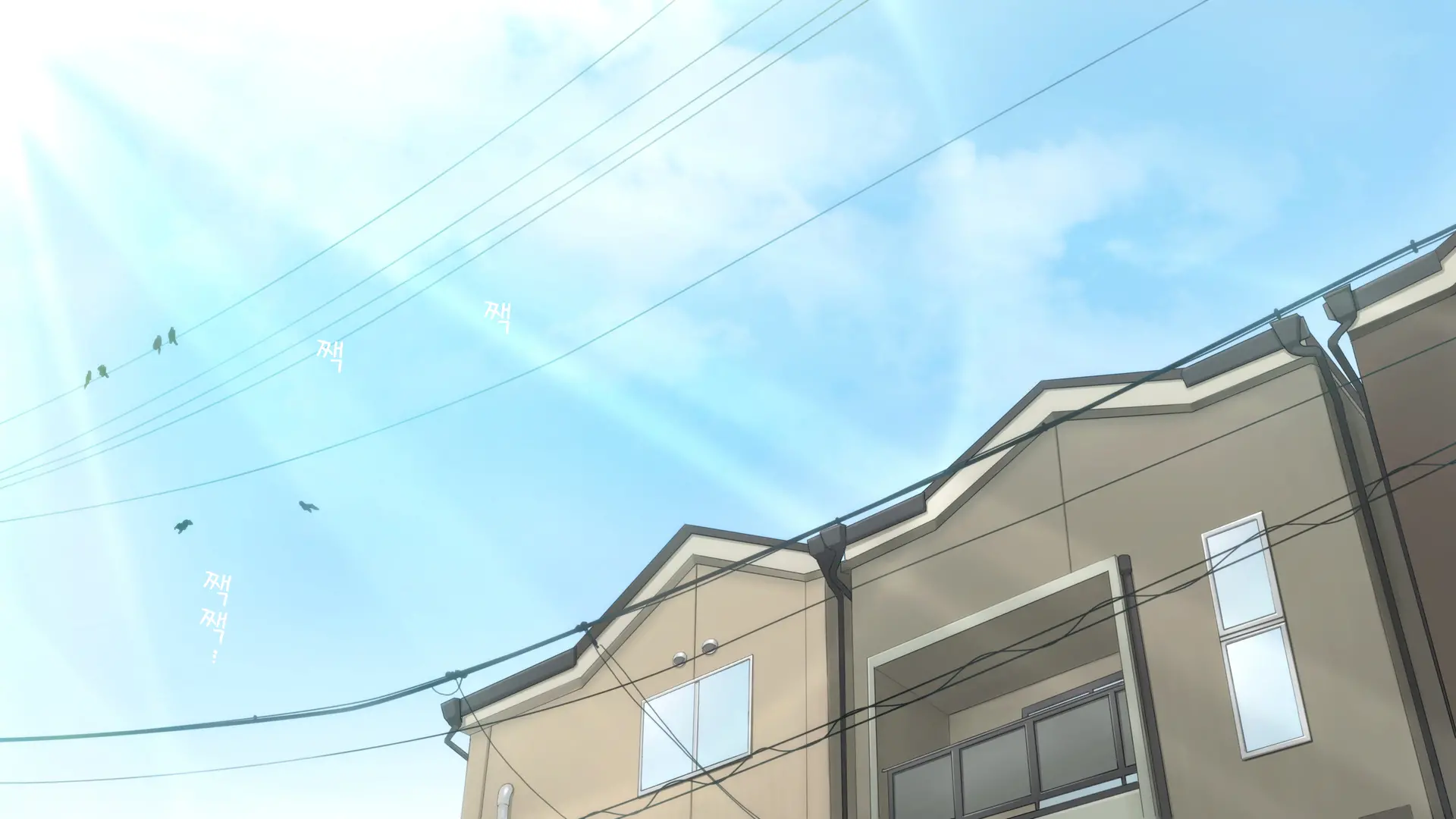 Hitozuma K&Y